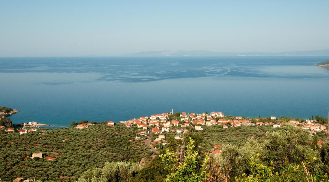 Вилла Pyrgos Fassea Кардамили Экстерьер фото