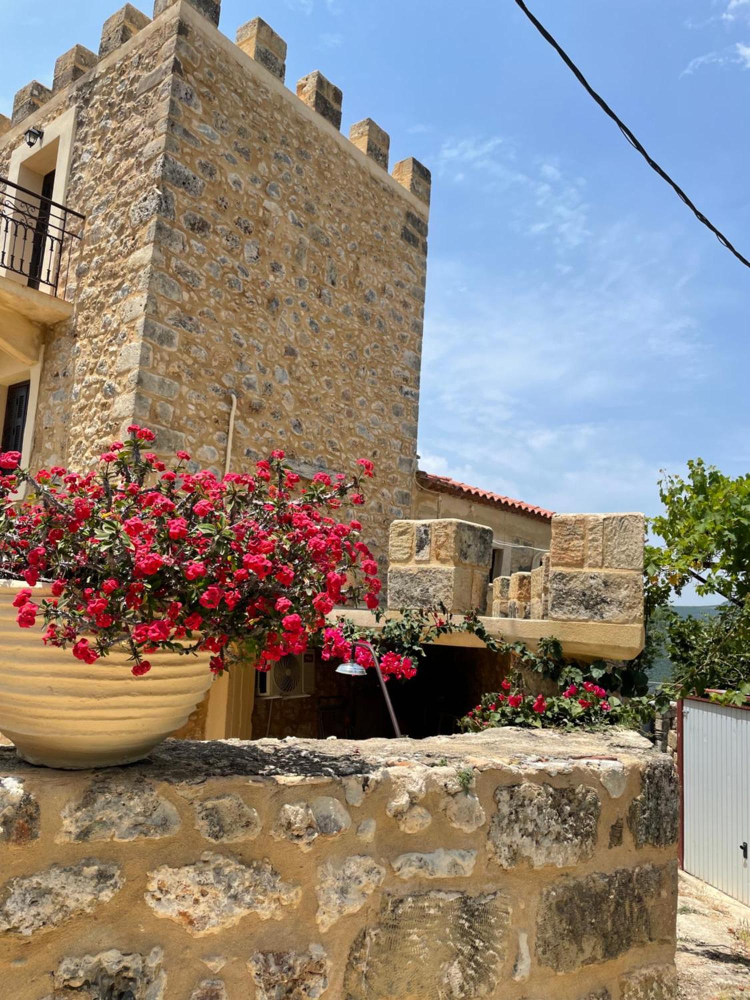 Вилла Pyrgos Fassea Кардамили Экстерьер фото